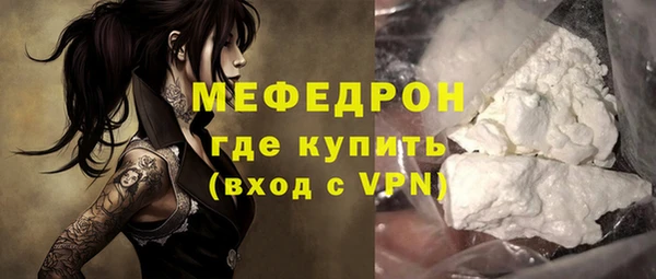 дживик Ельня