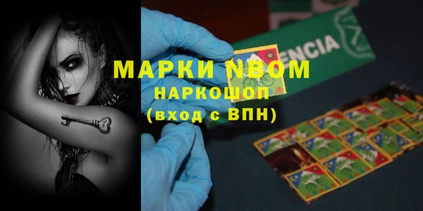 дживик Ельня