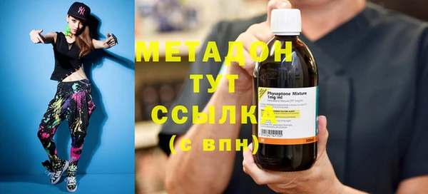 дживик Ельня