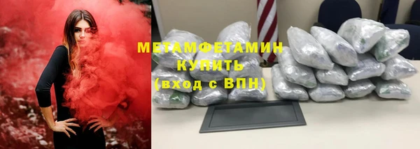 дживик Ельня
