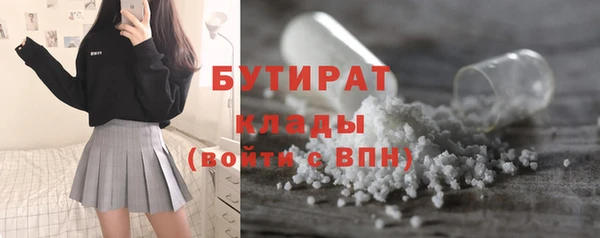 дживик Ельня