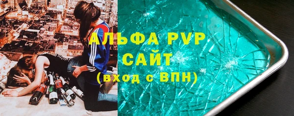 дживик Ельня