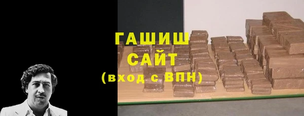 дживик Ельня