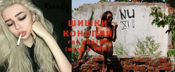 дживик Ельня