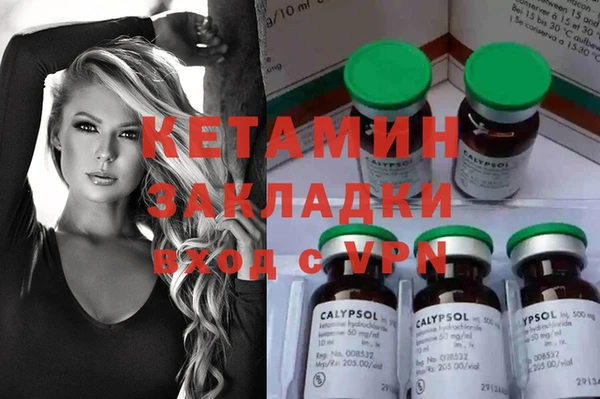 дживик Ельня