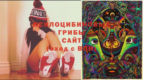 дживик Ельня