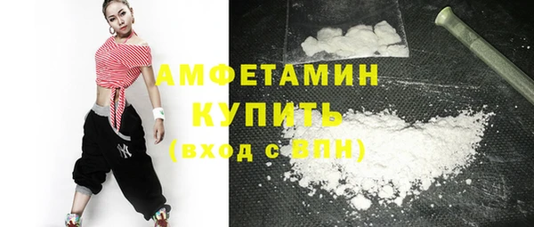 дживик Ельня