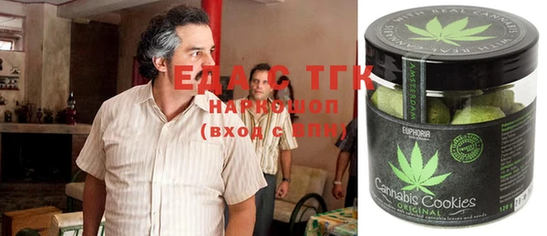 дживик Ельня