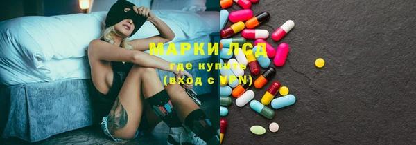 дживик Ельня