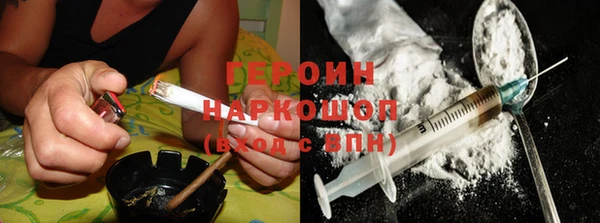 дживик Ельня