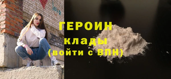 дживик Ельня
