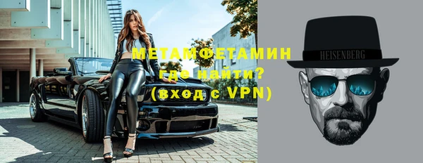 дживик Ельня
